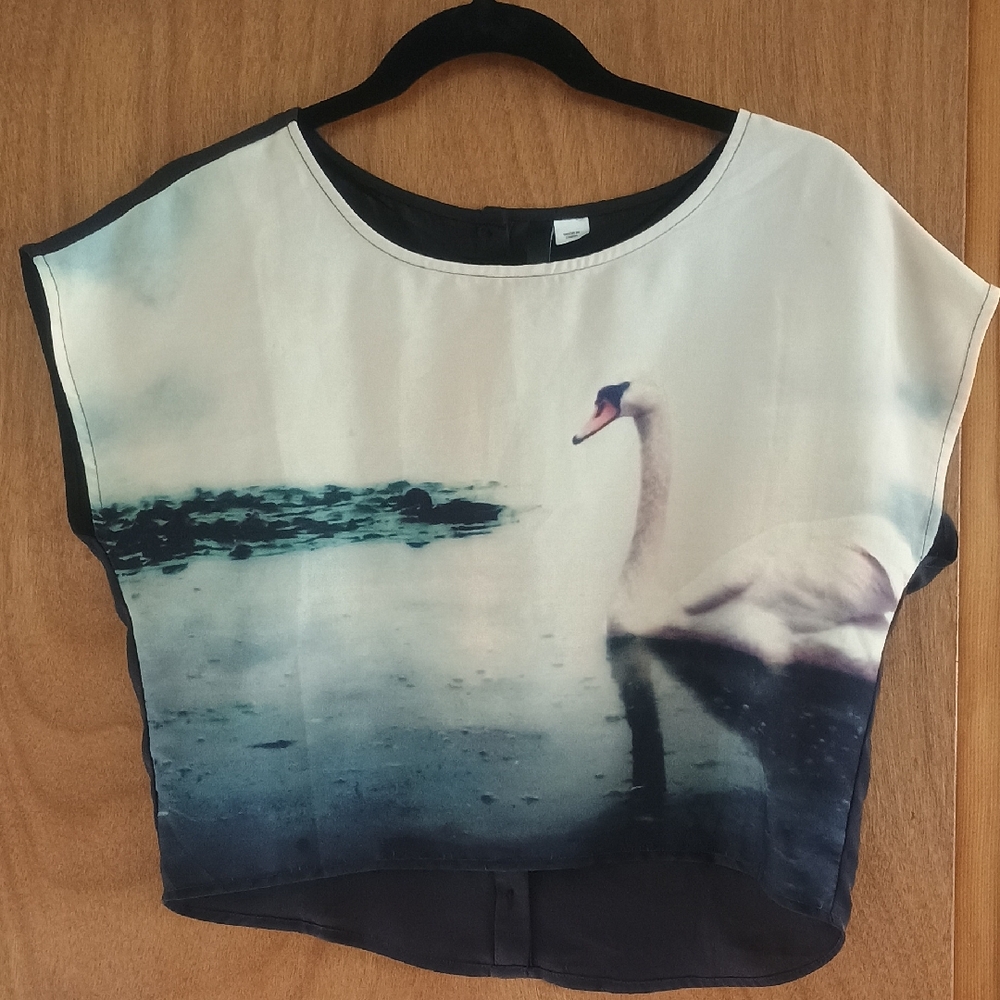 Swan Lake Portrait Blouse - H&M Divided - Button-Back - Size 4 - Artistic Boho